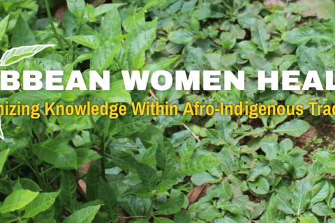 Lara and Reyes-Santos win external grant for Caribbean Women Healers project