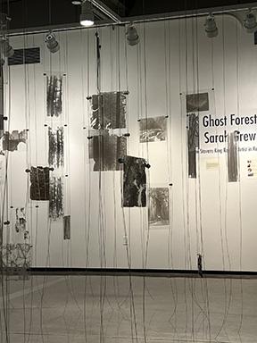 Ghost Forest exhibit, by Sarah Grew