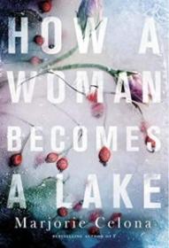 How a Woman Becomes a Lake: a novel Book Cover 