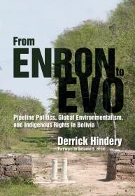 Cover of "From Enron to Evo"