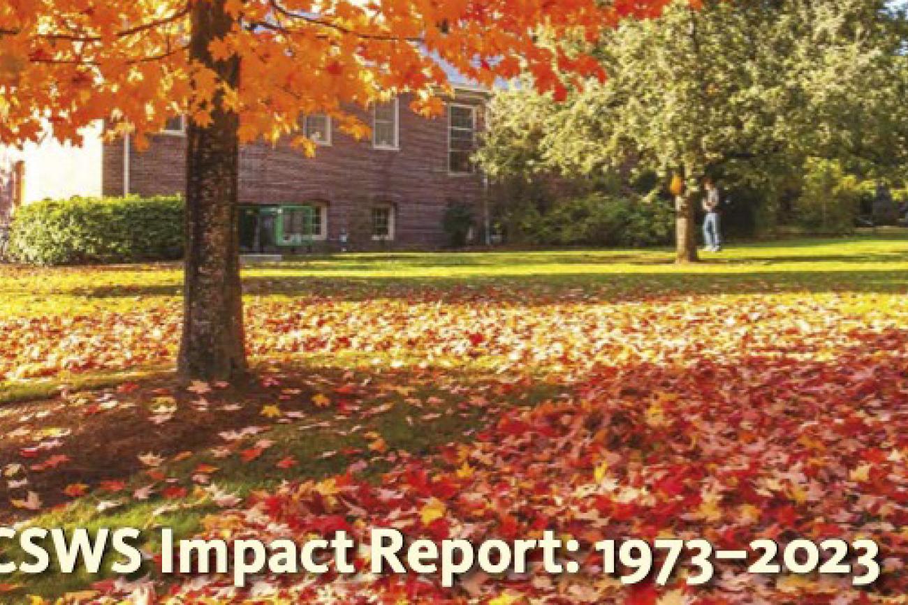 Fall colored leaves around Hendricks Hall.