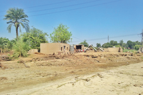 A homesite in rural Pakistan / photo by Sarah Ahmed