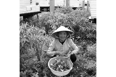 A Vietnamese woman works in her garden near her FEMA trailer.