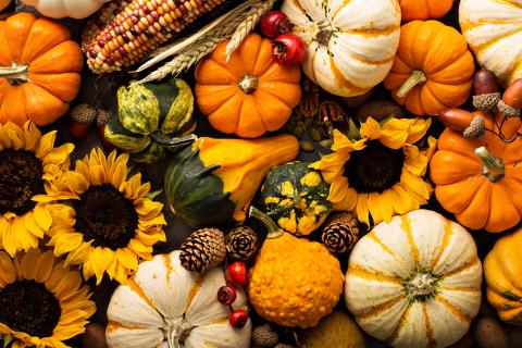 A collection of fall squash and sunflowers.
