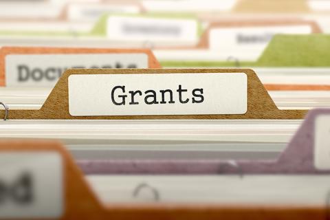 CSWS Research Grants