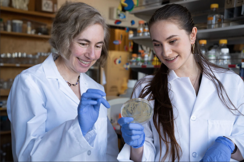 Karen Guillemin (left) is a biology professor who studies the microbial communities that make up each and every organism.