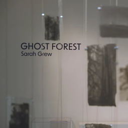 Ghost Forest exhibit image.