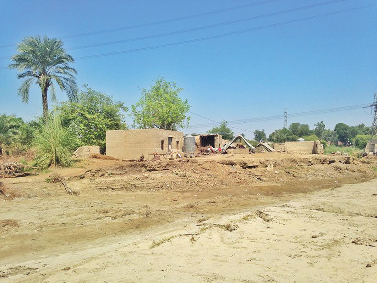A homesite in rural Pakistan / photo by Sarah Ahmed