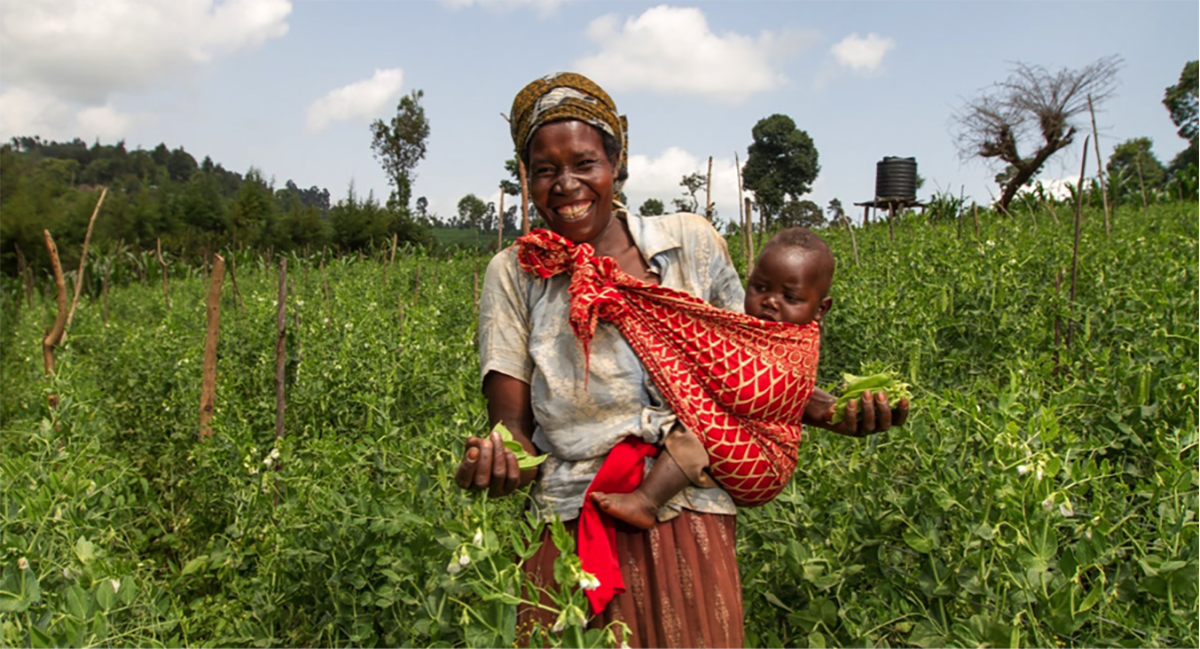Planting for food and jobs in Ghana.