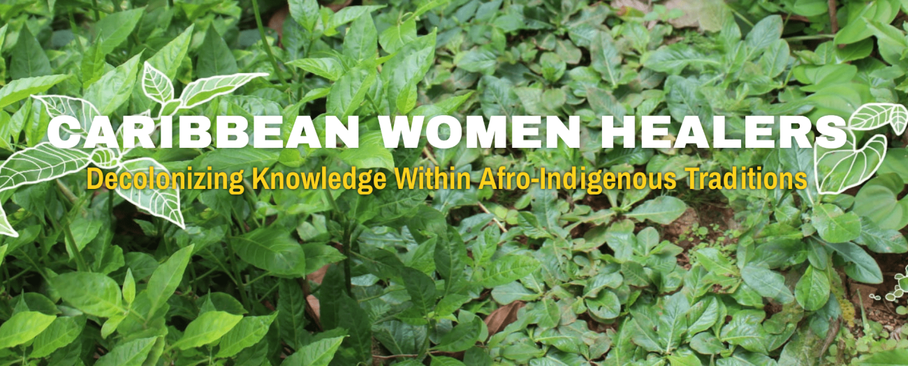 Lara and Reyes-Santos win external grant for Caribbean Women Healers project