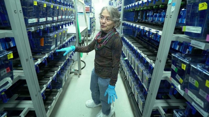 UO biologist Judith Eisen elected into elite American academy