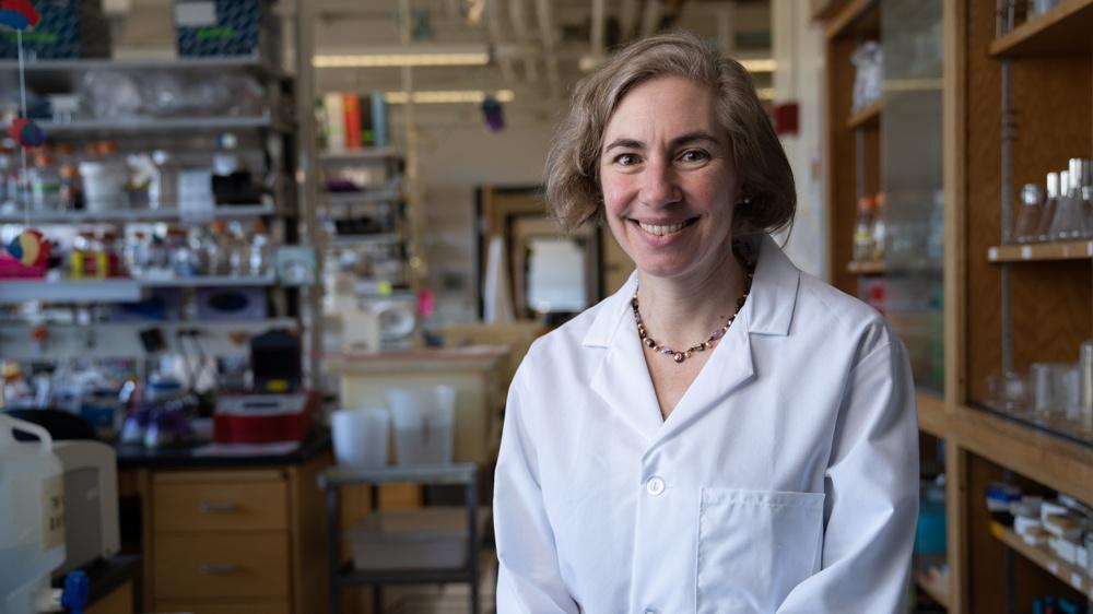 Biologist Karen Guillemin named as a fellow in the AAAS